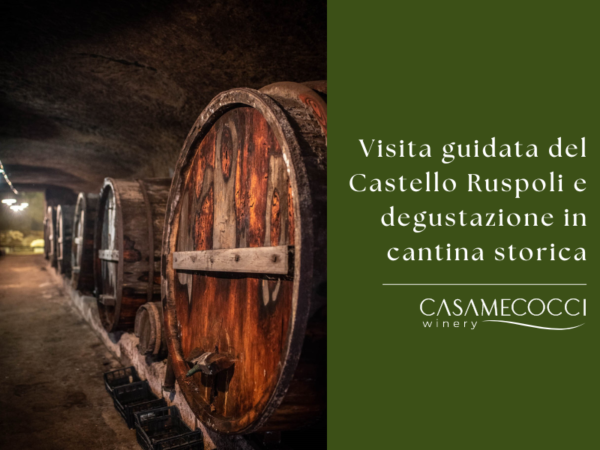 Visita guidata del Castello Ruspoli e degustazione in cantina storica